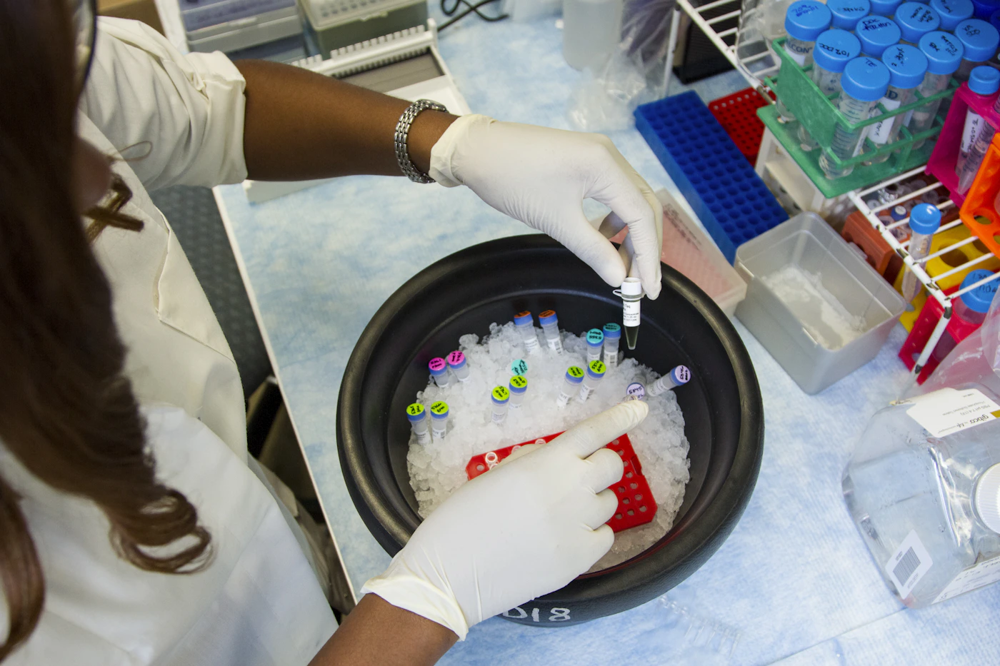 A laboratory researcher preparing samples, photographed by Daniel Sone